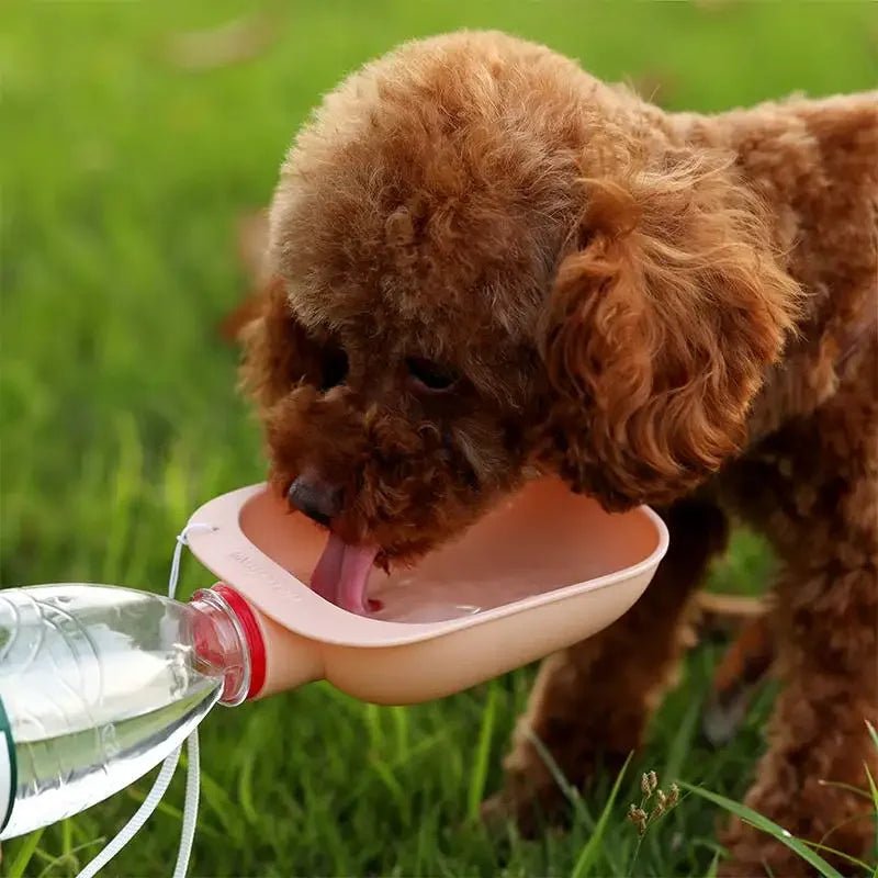 Tigela de Água Portátil para Cães e Gatos